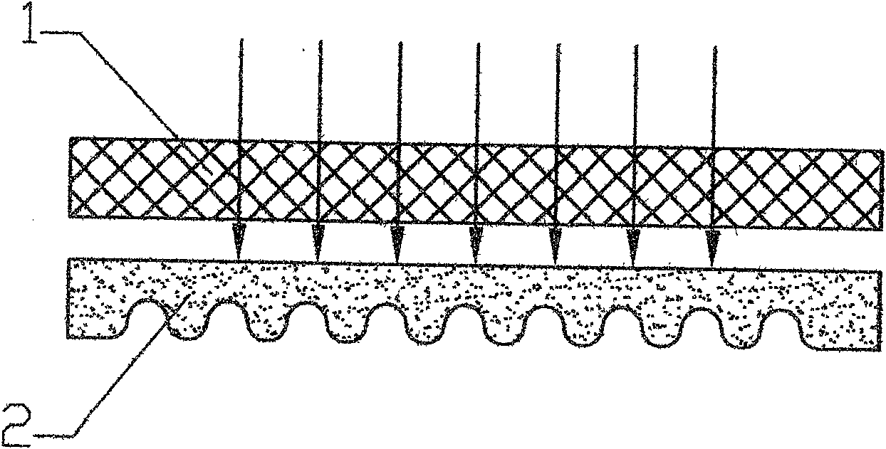 Dried disinfecting electric heating carpet