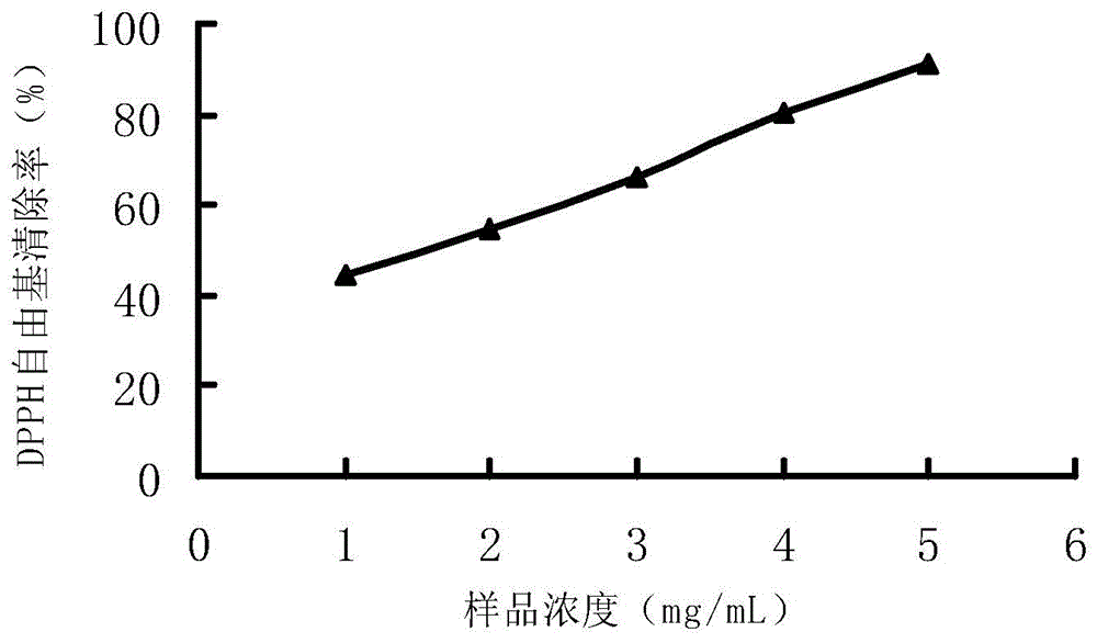 Preparation method and application of Cyclina sinensis enzymolysis polypeptide