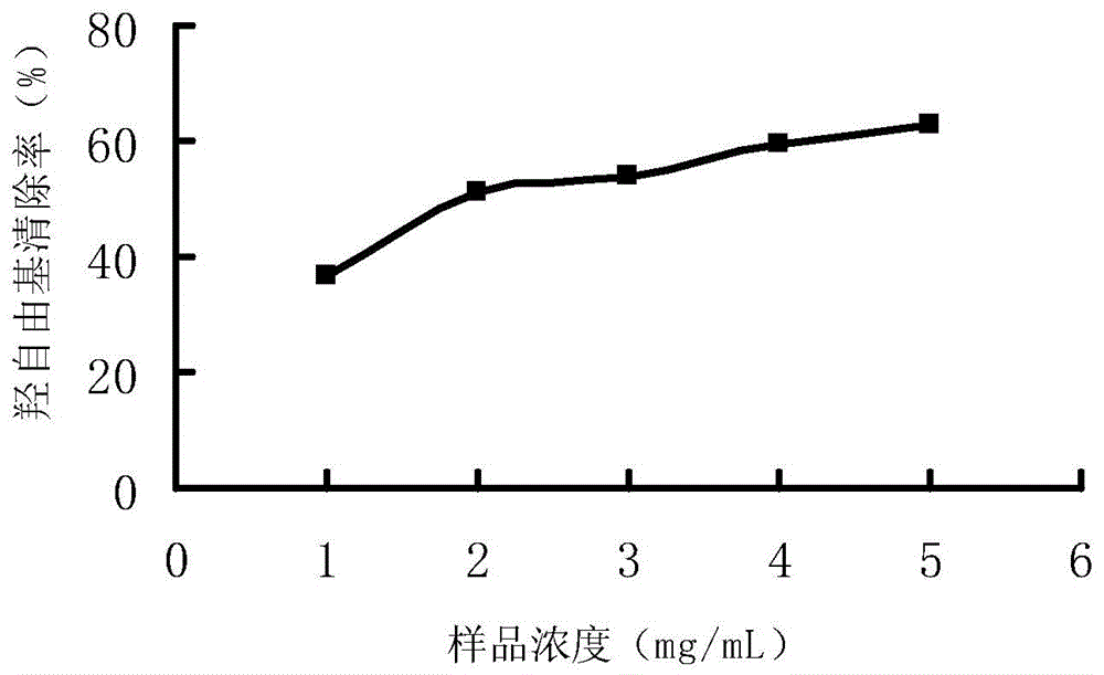 Preparation method and application of Cyclina sinensis enzymolysis polypeptide