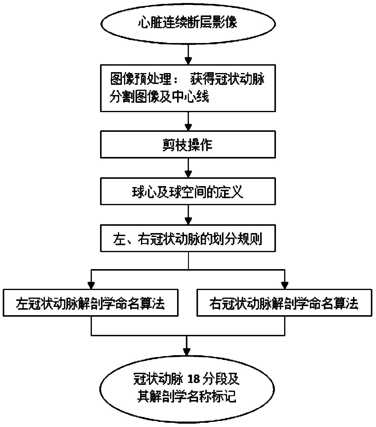 Coronary Artery Automatic Segmentation and Anatomical Labeling Method Based on Ball Space Division