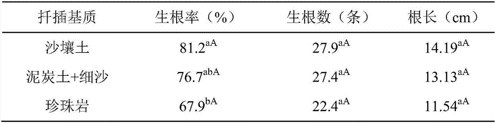 Asexual reproduction method of wild melilotus officinalis