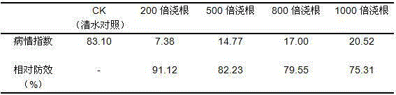 Efficient crucifer club root biocontrol starch bacillus amyloliquefaciens Bam22