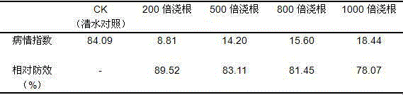 Efficient crucifer club root biocontrol starch bacillus amyloliquefaciens Bam22