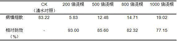 Efficient crucifer club root biocontrol starch bacillus amyloliquefaciens Bam22