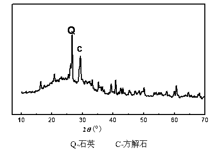 Biological aerated filter filler preparation method capable of simultaneously removing phosphorus and nitrogen, and application thereof