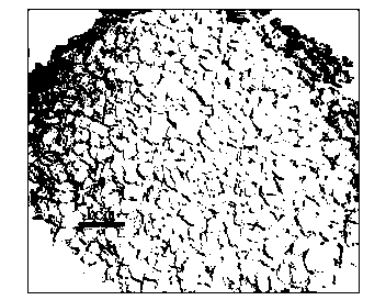 Biological aerated filter filler preparation method capable of simultaneously removing phosphorus and nitrogen, and application thereof