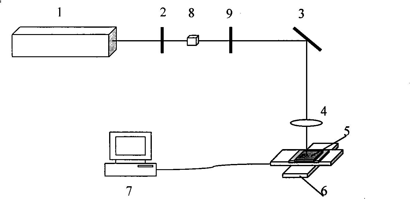 Process for preparing zinc oxide nanometer wire array by femtosecond laser and device thereof