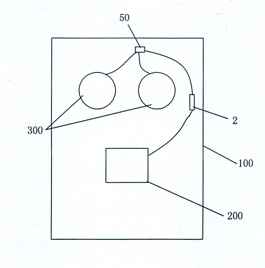 Multifunctional apparatus for treating coldness of external genitals