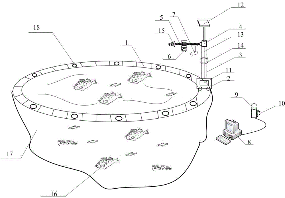 Dead fish monitoring device and monitoring method applied to aquaculture