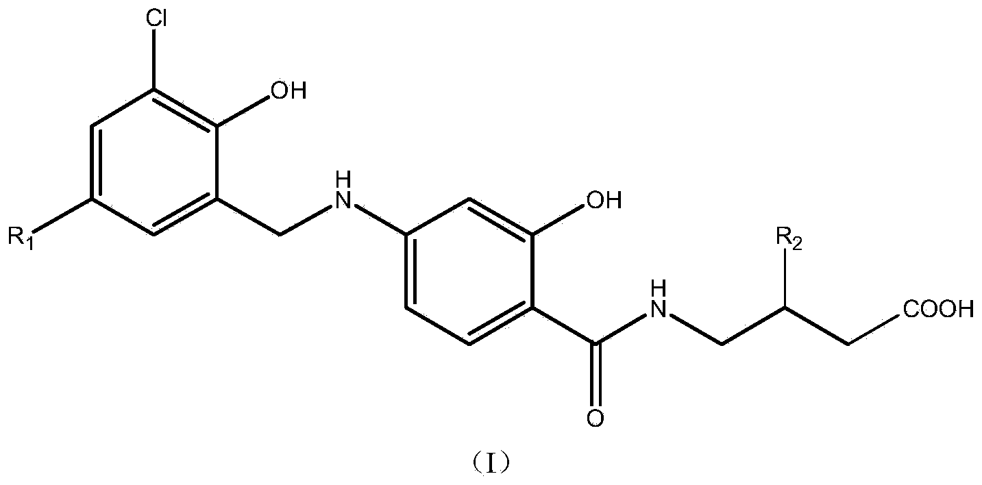 N-benzyl-substituted amide derivatives of amino salicylic acid and 4-aminobutyric acid and drug application of N-benzyl-substituted amide derivatives