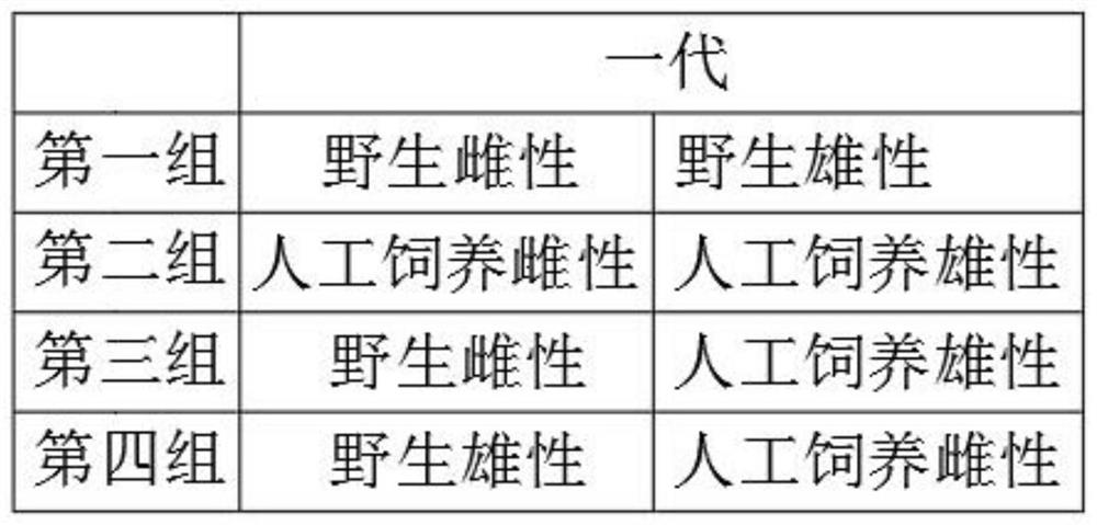 Genetic homogeneity research method based on SD rats