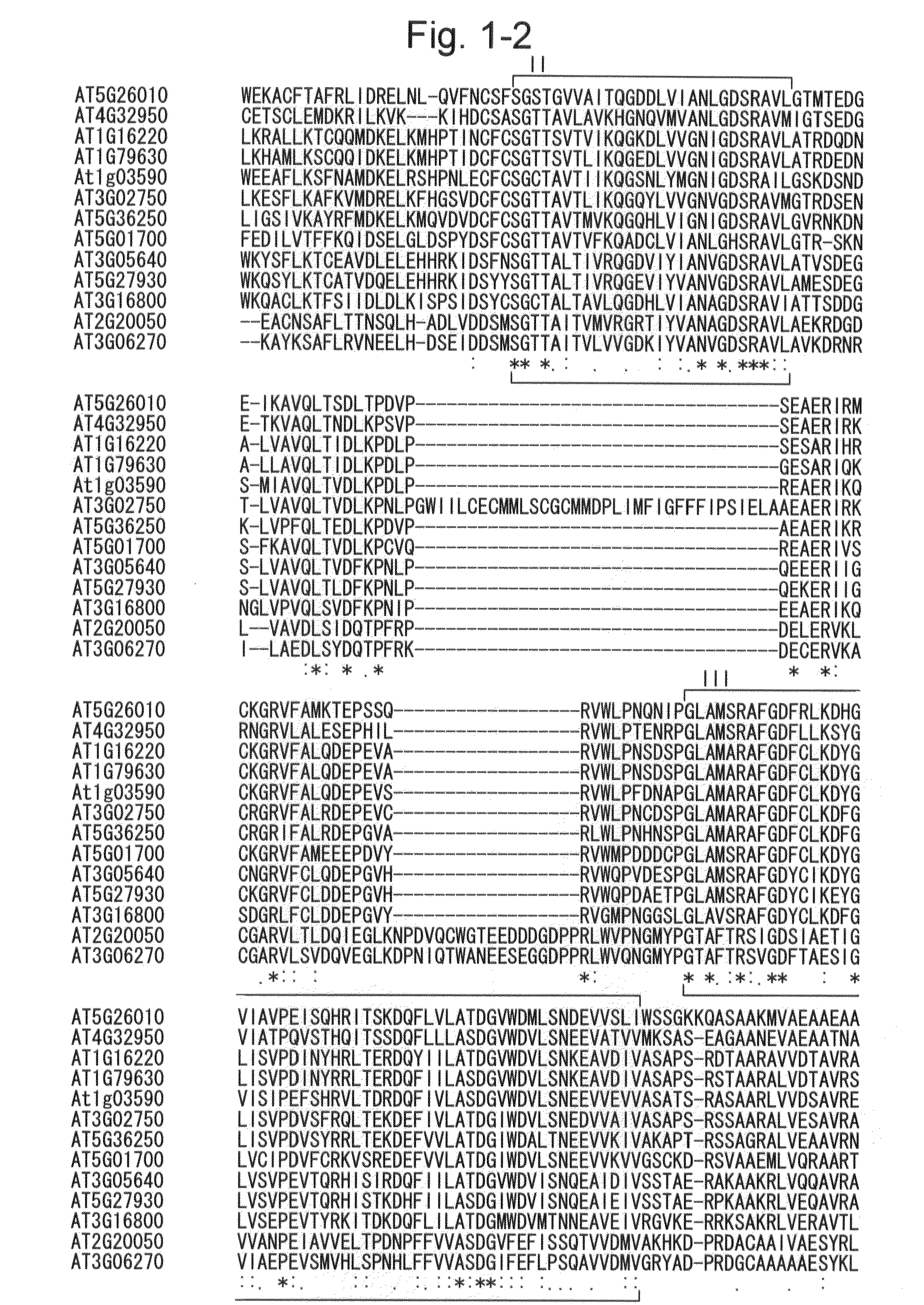 Method for increasing the production of plant biomass and/or seeds and method for producing plant capable of producing increased amount of biomass and/or seeds