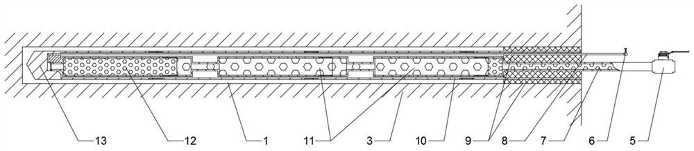 Coal body heating device and method for promoting gas extraction