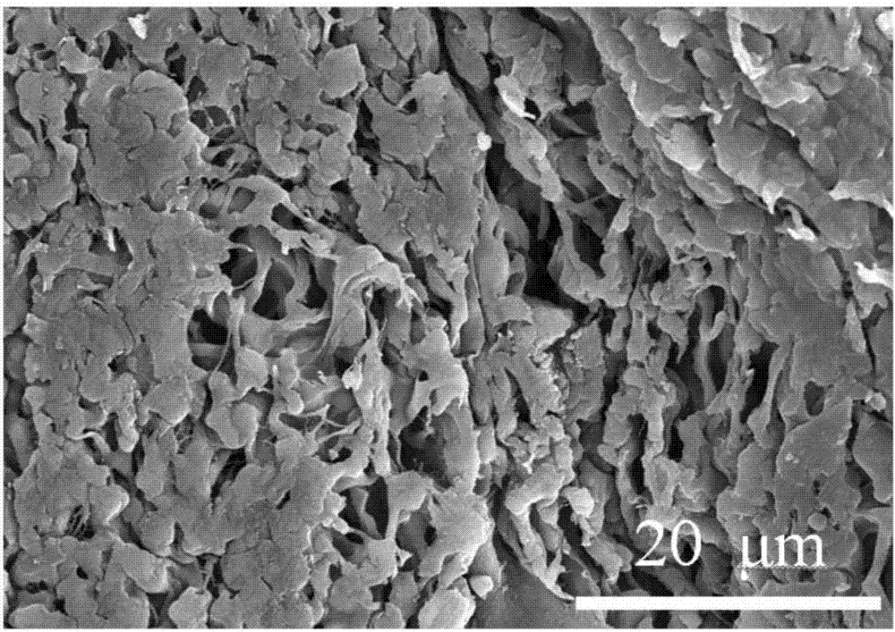 Biomass based network-like porous composite material and preparation method thereof