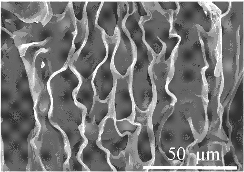 Biomass based network-like porous composite material and preparation method thereof