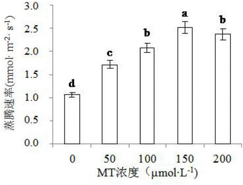 Method for significantly enhancing eggplant stress resistance under high temperature stress