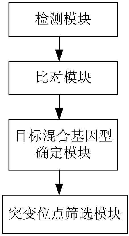 Apparatus for detecting gene mutation, and kit for typing genotype of pregnant women and fetuses