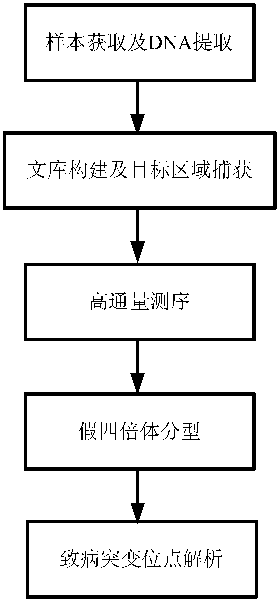 Apparatus for detecting gene mutation, and kit for typing genotype of pregnant women and fetuses