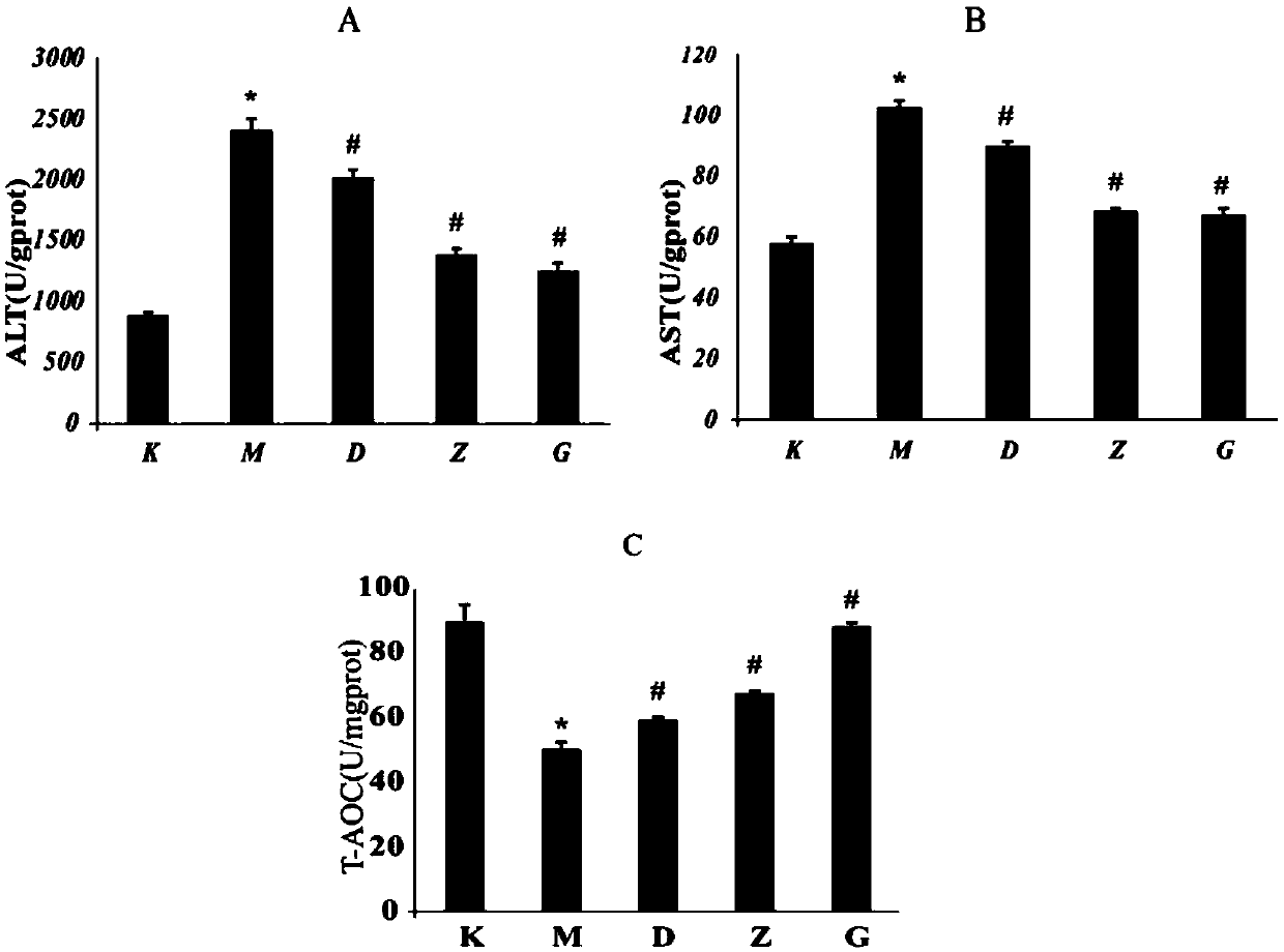 Liver-protecting health-care molecular wine containing total flavonoids and preparation method thereof