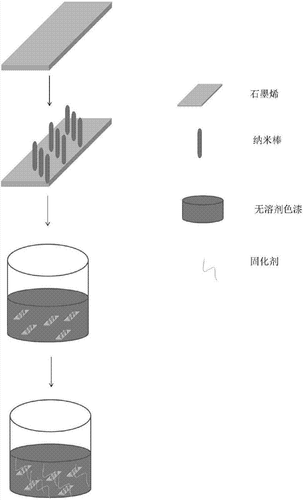 Humid rusted solvent-free graphene modified epoxy paint and preparation method thereof