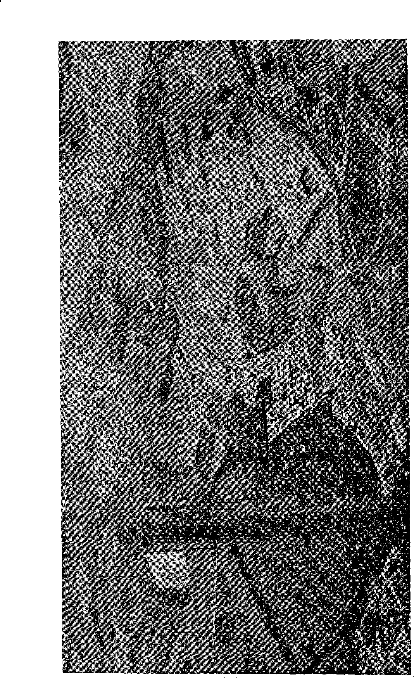 Multi-component decomposition method used for polarization synthetic aperture radar image