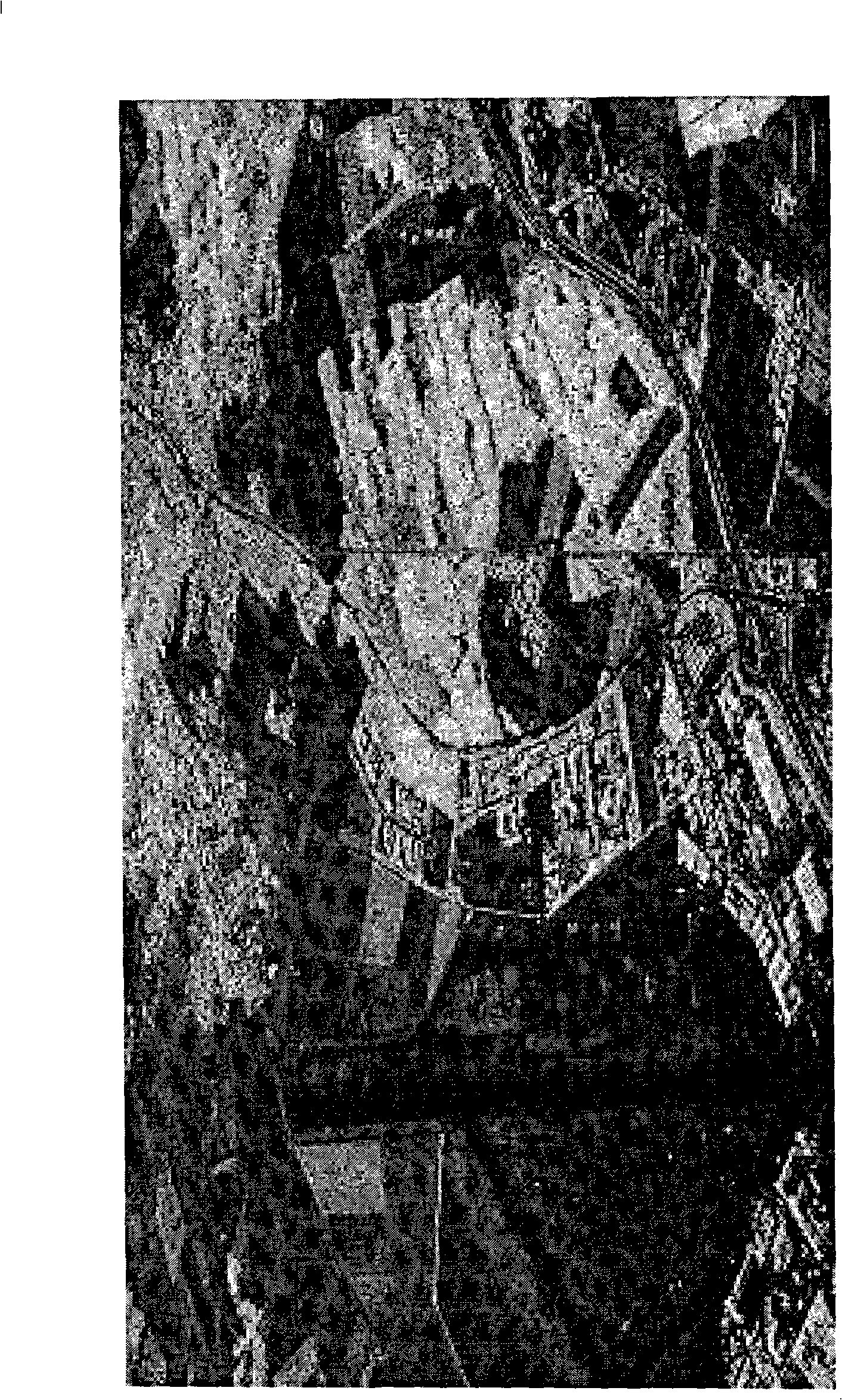 Multi-component decomposition method used for polarization synthetic aperture radar image