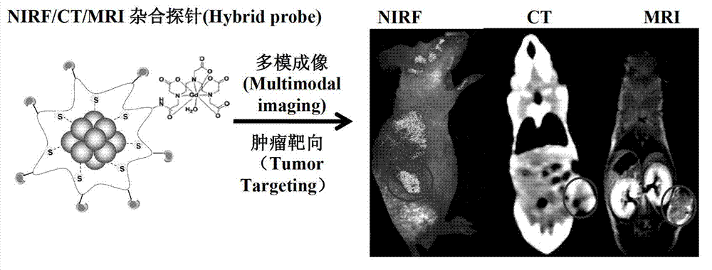 Contrast agent and preparation method thereof