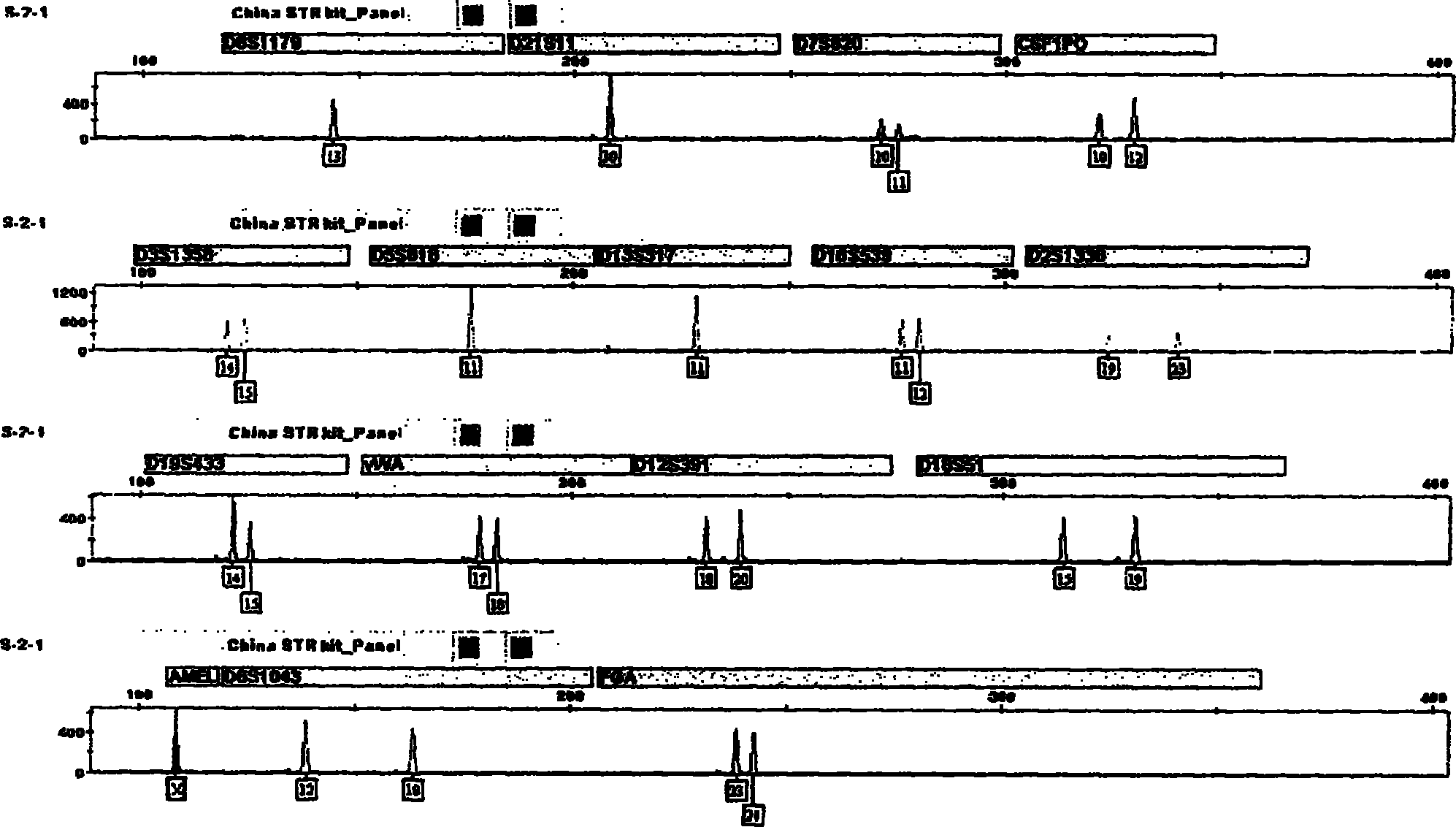 Compound amplification kit of 20 short tandem repeats