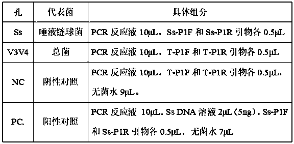 Primer group for detecting streptococcus salivarius, detection system and applications of primer group and detection system