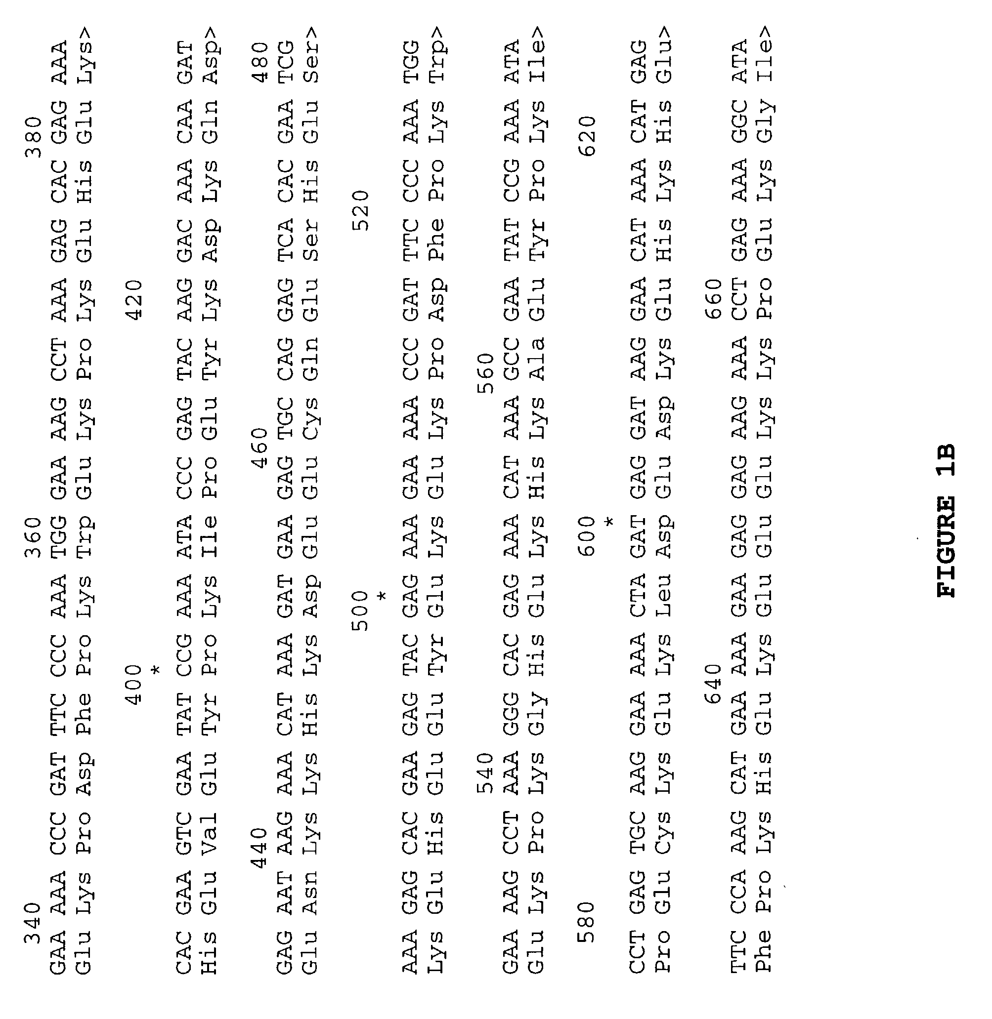 Cotton fiber transcriptional factors