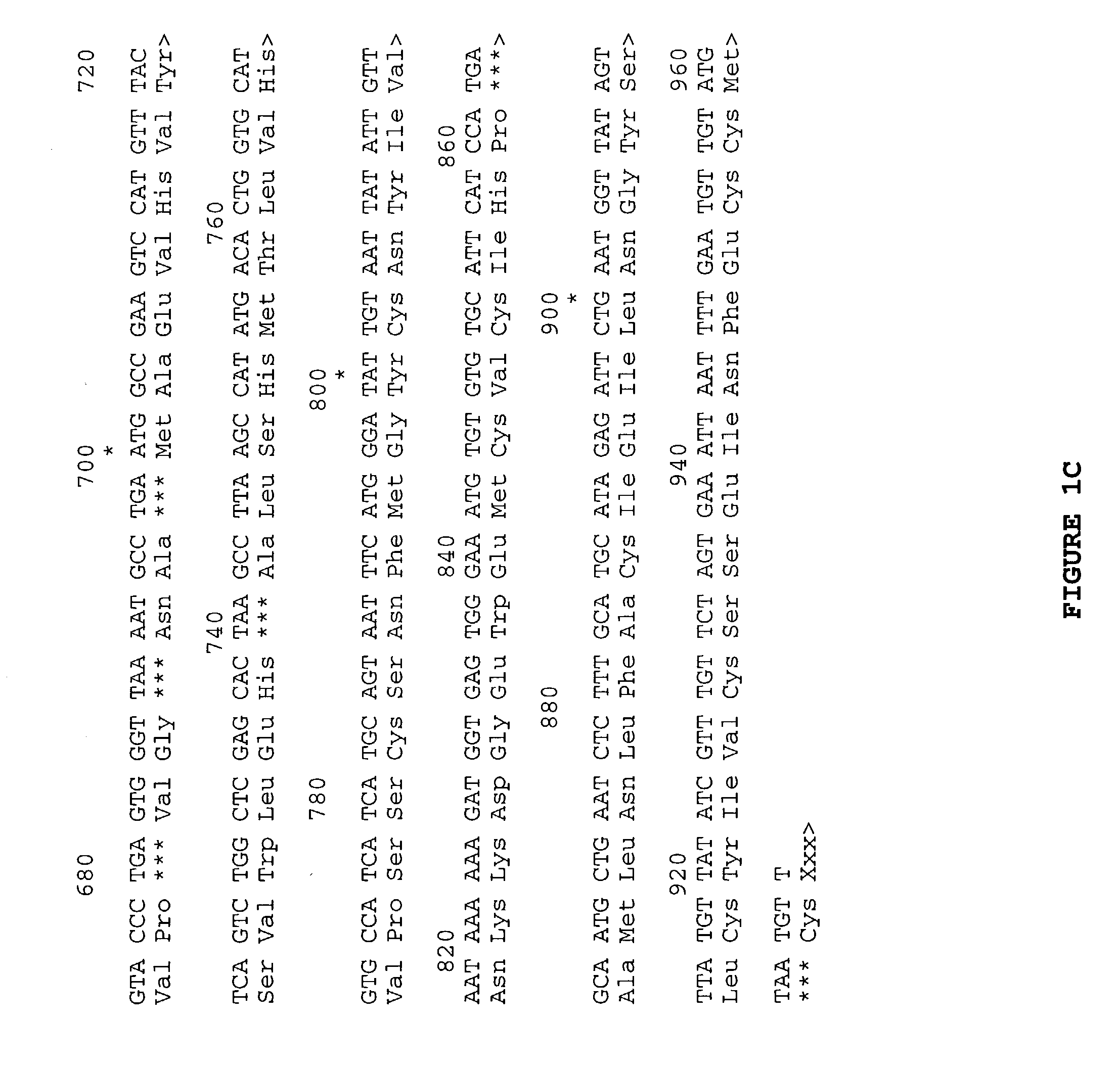 Cotton fiber transcriptional factors