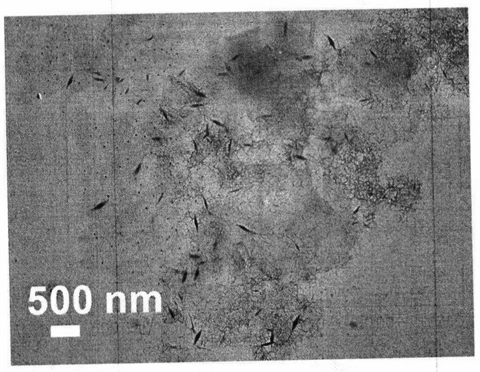 Nano-enzyme compounded by copper nano-particles and ferriporphyrin nano-sheets as well as preparation and application of nano-enzyme