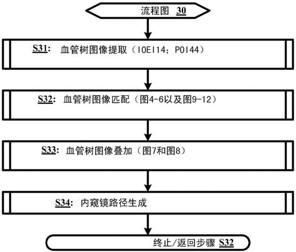 Invisible bifurcation detection within vessel tree images