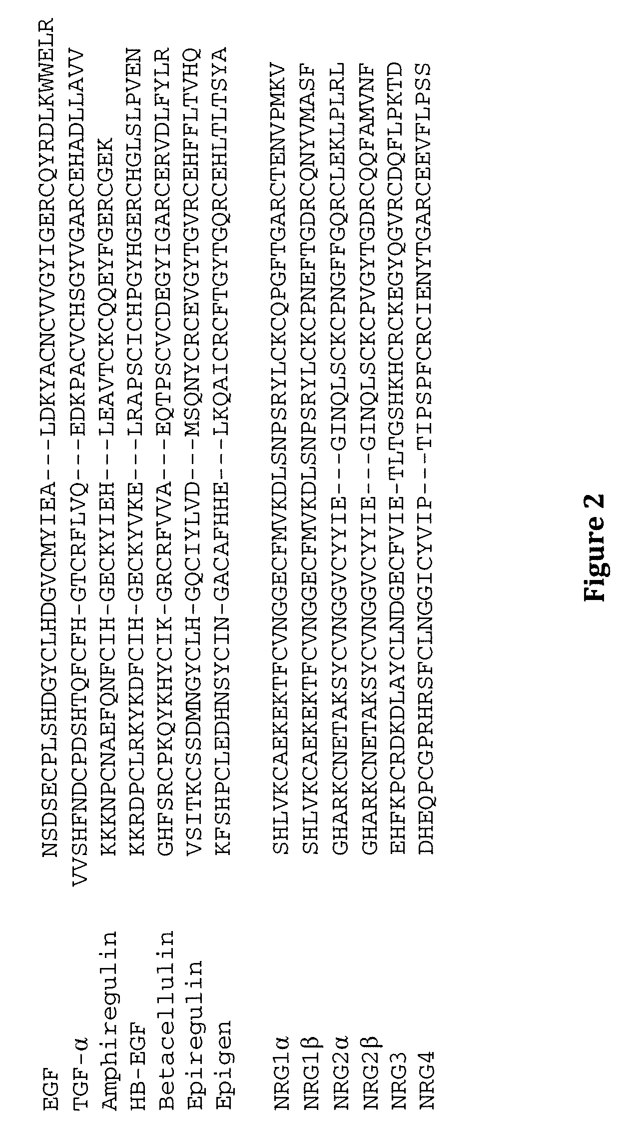 Methods of screening based on the EGF receptor crystal structure