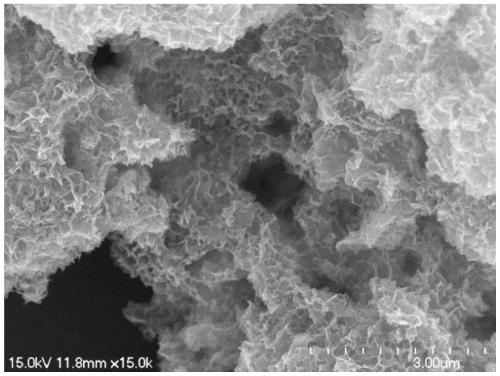 Titanium carbide nanosheet/layered indium sulfide heterojunction and application of the same in degrading and removing water pollutant