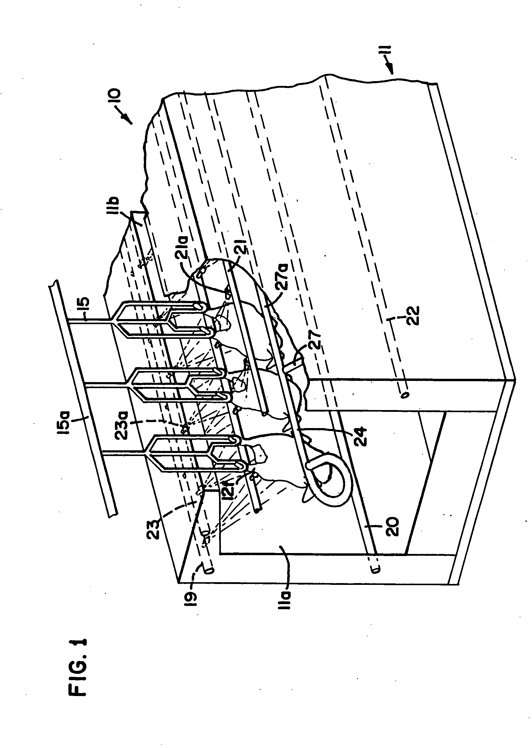 Apparatus and method for cleaning poultry