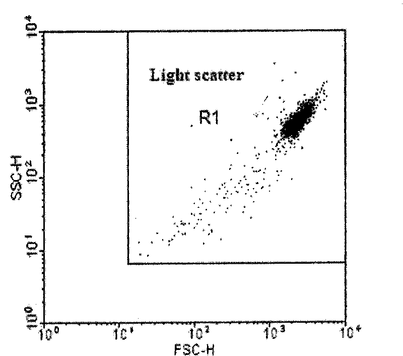 Detection method for vitro cell micronucleus of cigarette smoke genetic toxicity