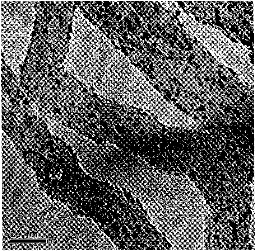 Highly dispersed carbon nanotube carried catalyst and preparation method of precursor thereof