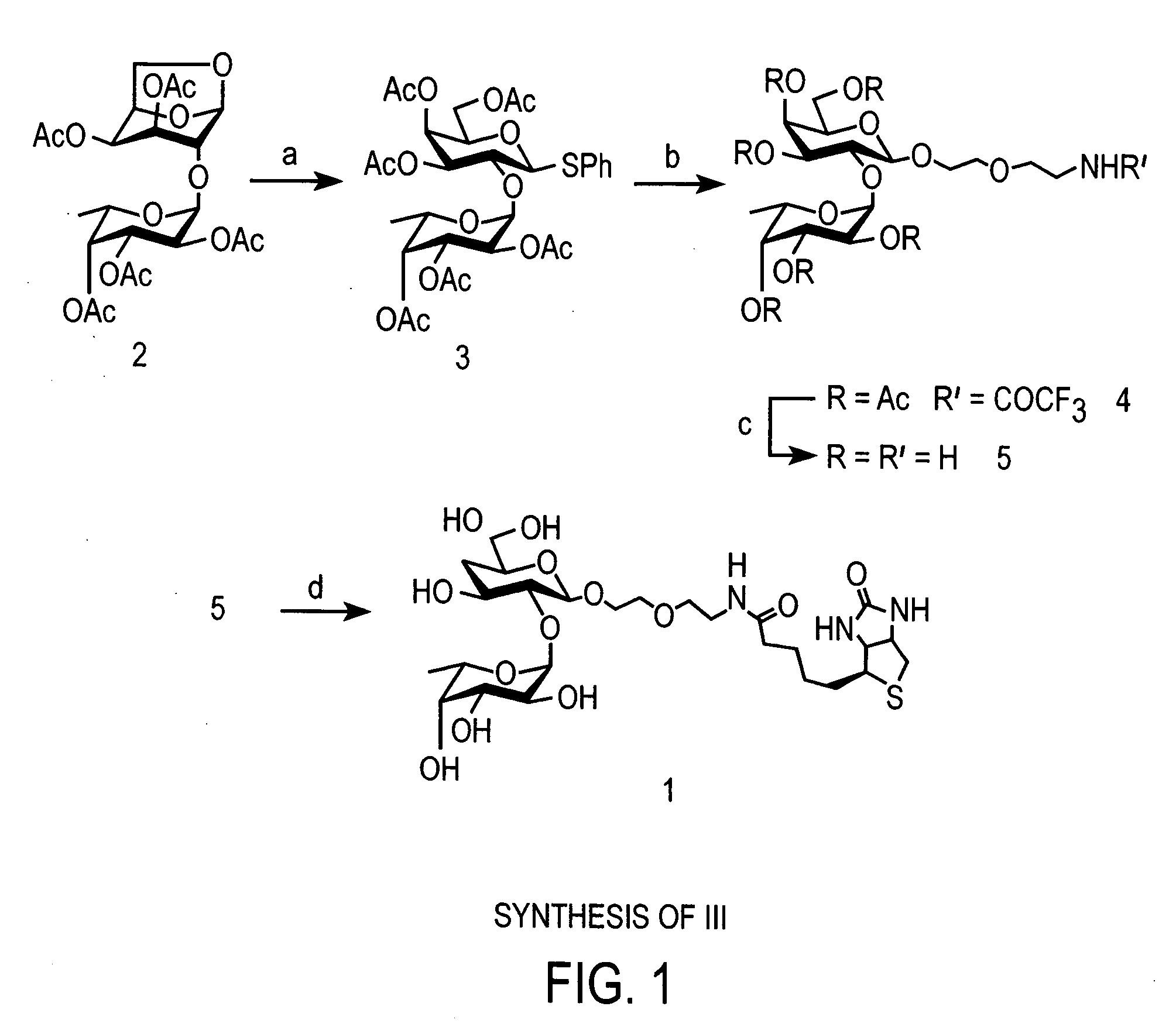 Carbohydrate modifiers of neuronal growth