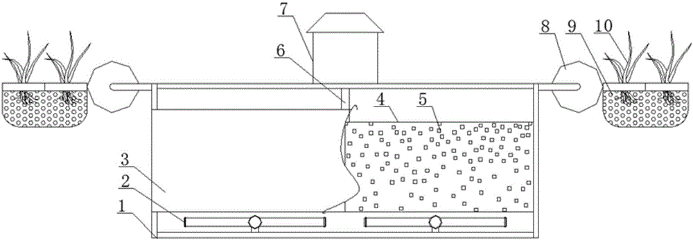 Black and odorous water body treatment and restoration system