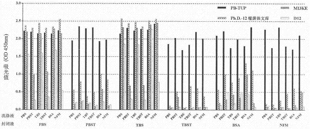 Polystyrene affinity peptide and method of polystyrene affinity peptide for improving immobilized effect of antigen