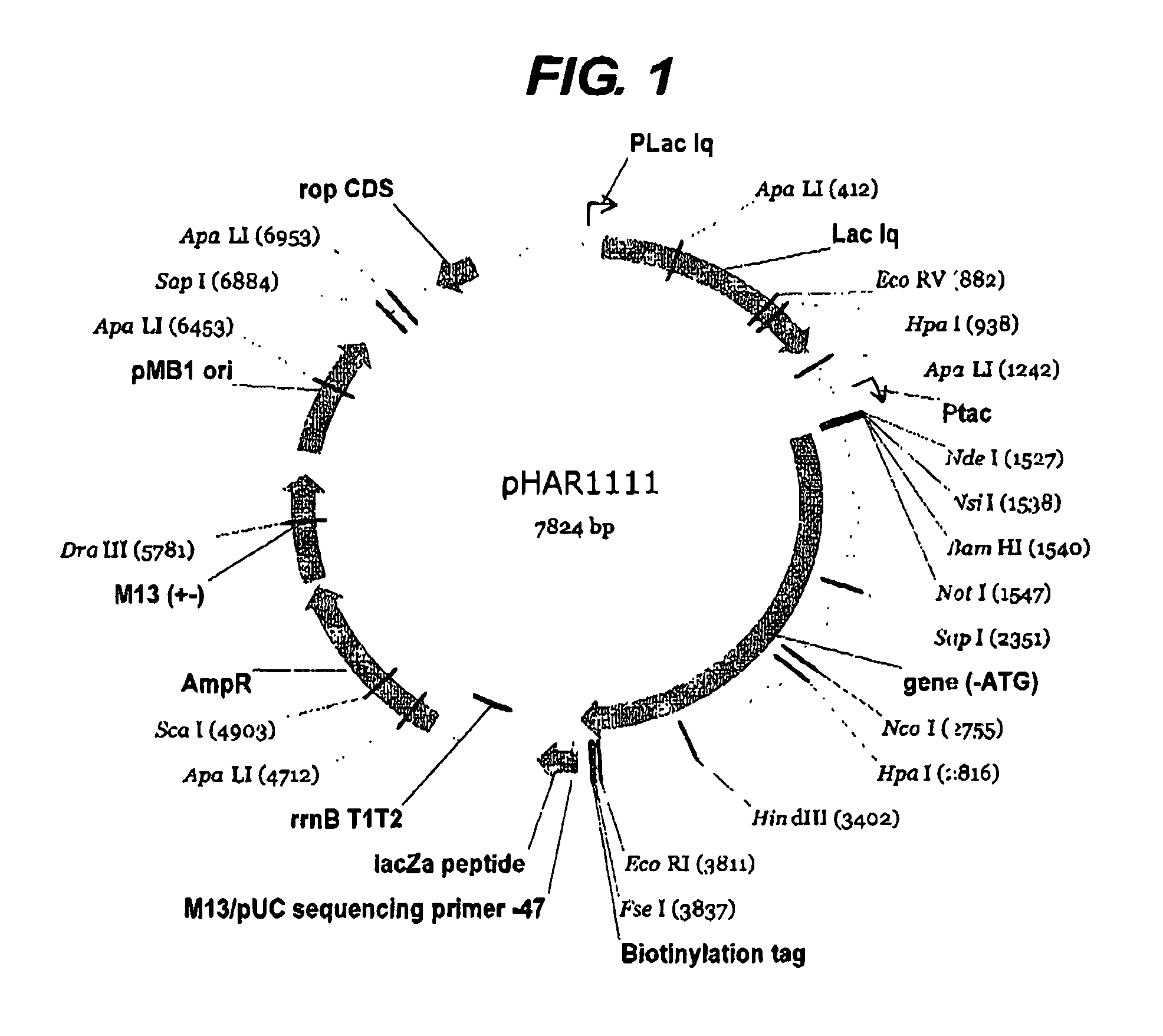 Method for determining protein solubility