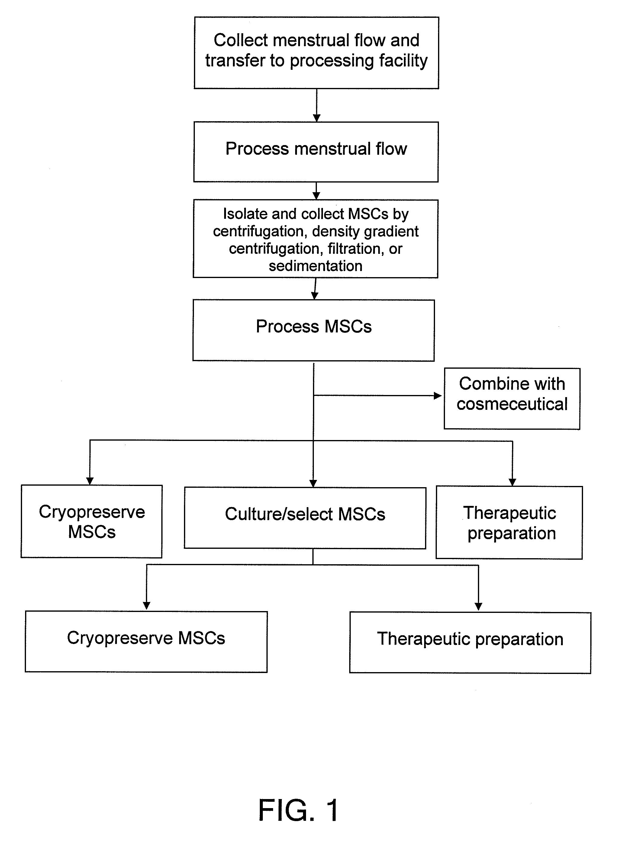 Procurement, Isolation, and Cryopreservation of Endometrial/Menstrual Cells