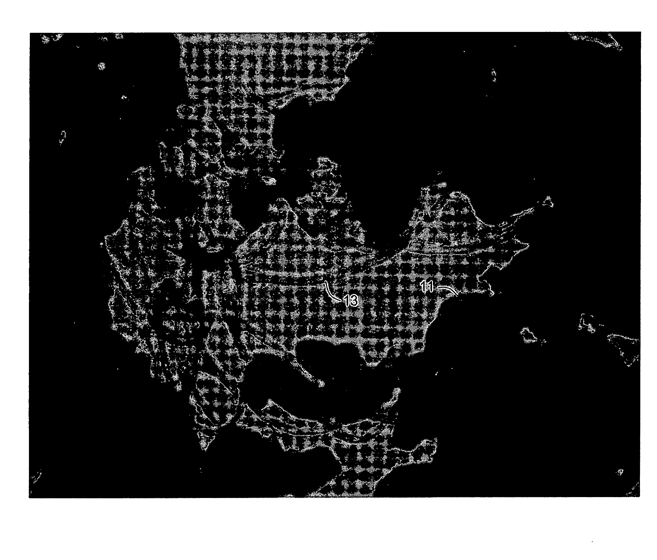 Carbon black with attached carbon nanotubes and method of manufacture