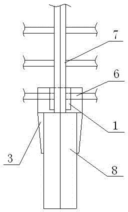 A cage door locking structure