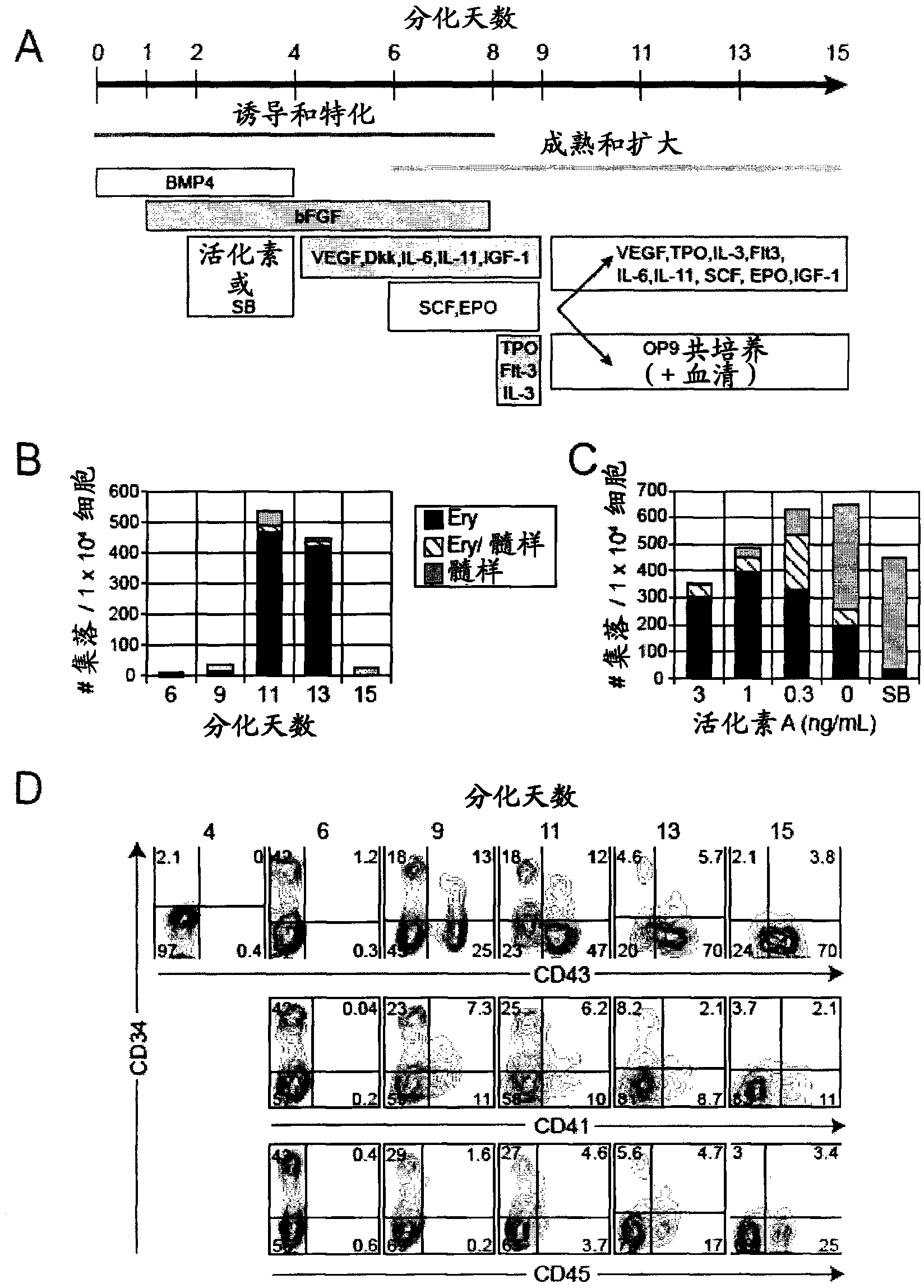 Populations of hematopoietic progenitors and methods of enriching stem cells therefor