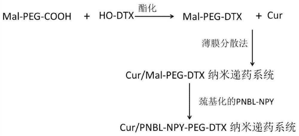 A nano-drug delivery system for time-sequential release of curcumin and chemotherapeutic drugs and its application