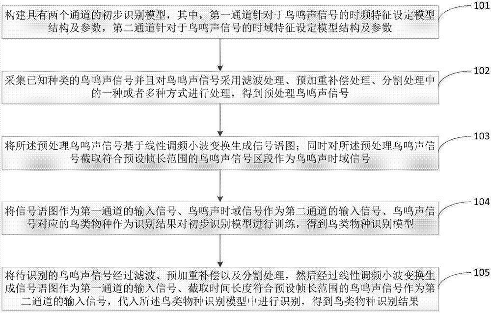 Bird species identification method based on dual-channel neural network