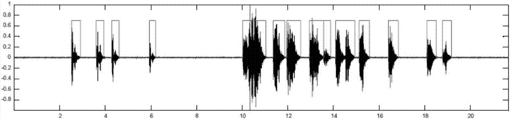 Bird species identification method based on dual-channel neural network