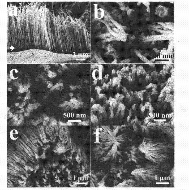 Nanocable production method taking alumina as wrapping layer